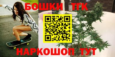 СК Лесосибирск