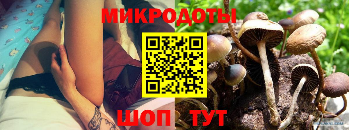 Галлюциногенные грибы Psilocybe  Вход с VPN  Каменск-Уральский 