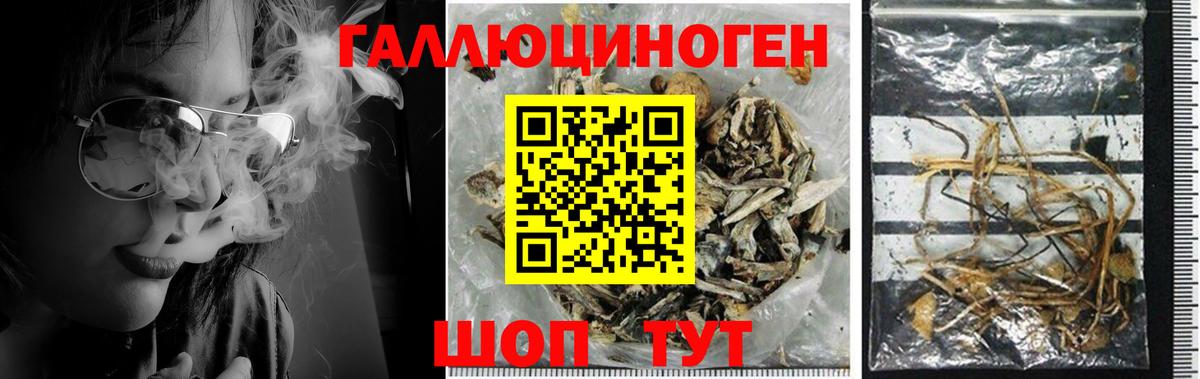 Галлюциногенные грибы GOLDEN TEACHER Каменск-Уральский